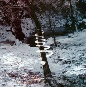 Andy Goldsworthy – Icicle Spiral (Treesoul) – Dumfriesshire, Skotsko, po roce 1985