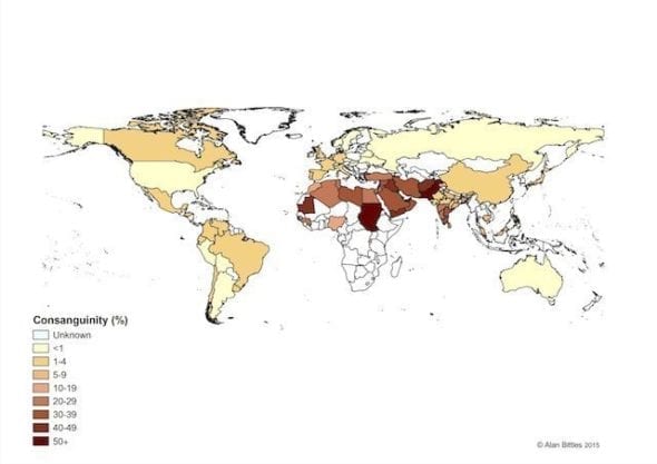 Mapa četnosti sňatků pokrevních příbuzných podle A. H. Bittlese