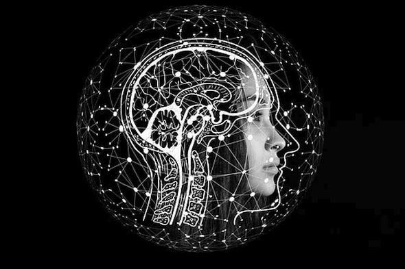 Geny, mozek a inteligence: co je nového?