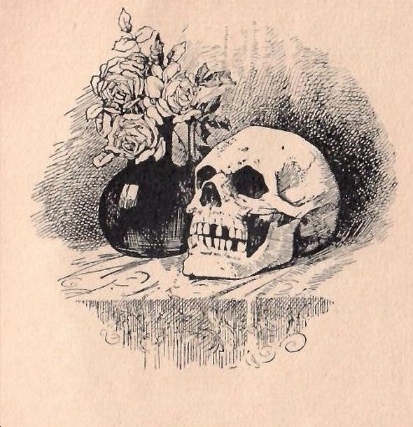 Zátiší z Cámarových Parfumů zla